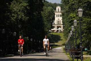 Maksimir
