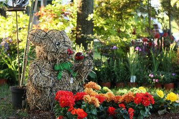 45. Floraart (Foto: Siniša Kosić /Medijska mreža)