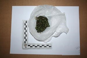 marihuana (Foto: PUZ)