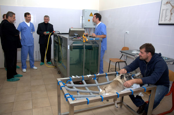 rehabilitacija (Foto: www.zagreb.hr)