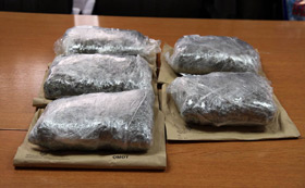 zaplijenjena marihuana (Foto: Saša Zinaja /Medijska mreža)