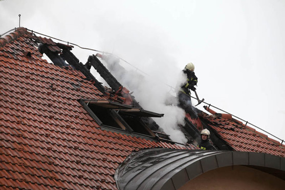 požar (Foto: Saša Zinaja /Medijska mreža)