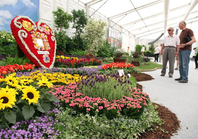 Floraart (Foto: Saša Zinaja /Medijska mreža)