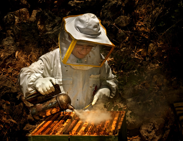Bee Keeper (Foto: Christopher Azzopardi)