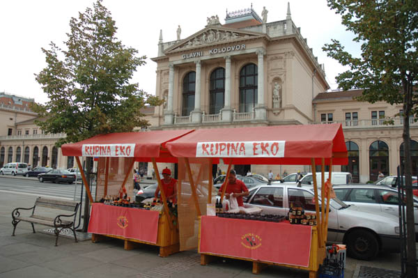 Dani kupina (Foto: www.zagreb.hr)
