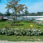 Foto: http://www.zkahlina.ca/