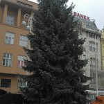 Bor Jelacic plac