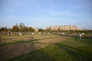 28.10.vrtne parcele Sopot (7)