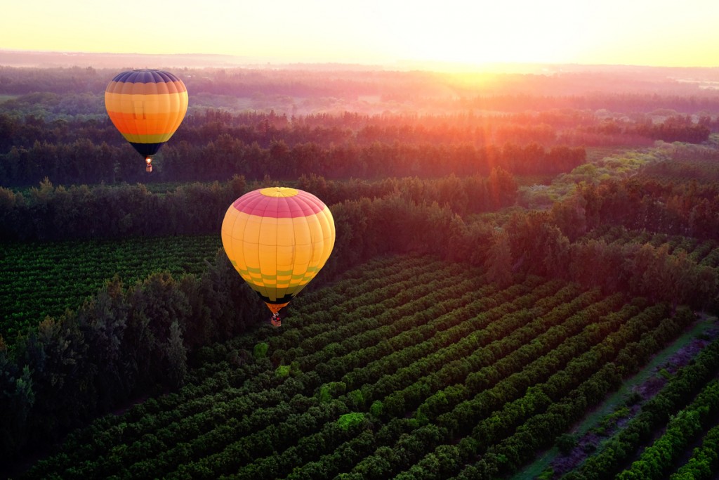 Hot air balloons over countryside.