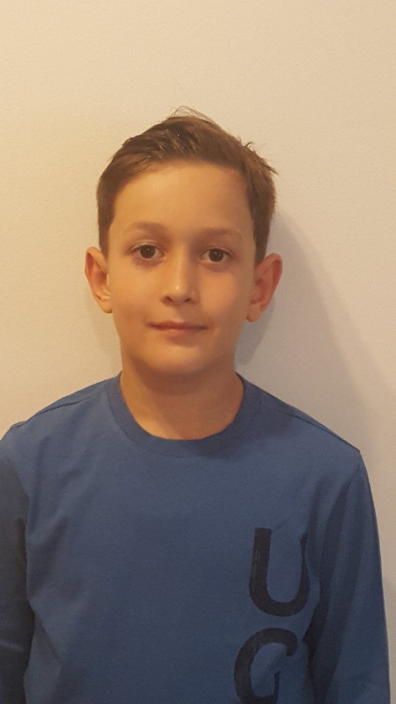 Josip Moser-