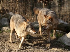 Noć knjige u Zoološkom vrtu grada Zagreba Noć knjige u ZOO Zagreb