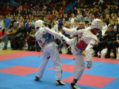Taekwondo: Najveće međunarodno humanitarno natjecanje za djecu i mlade u Hrvatskoj