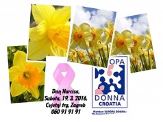 Obilježava se 20. „Dan Narcisa“