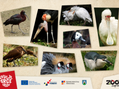 Zagrebački ZOO obilježava Dan planeta Zemlje i Noć knjige