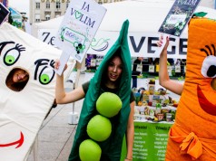 Stigao ZeGeVege 2016!