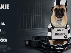 Jesen dolazi, a time i „Udomljavanje je fora“…