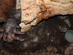 Završava interaktivna izložba Zima oko svijeta
