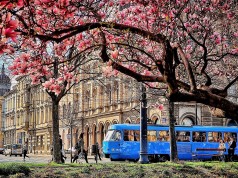 Kako učiniti da vam vožnja u javnom prijevozu brže prođe?