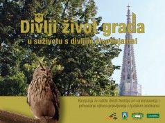 Prijatelji životinja i Dumovec: Nužna zaštita divljih životinja u gradovima