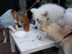 Na Fuliranju otvoren restoran na kojem se traži mjesto više