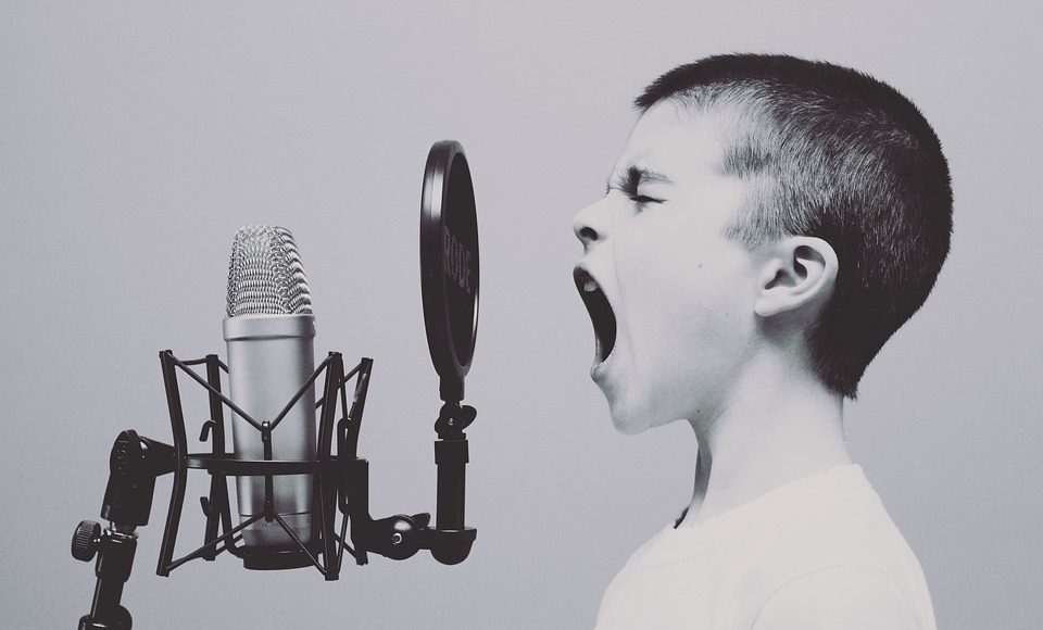 microphone-1209816_960_720