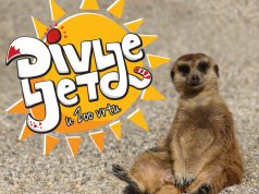 Ljeto uz divlje životinje