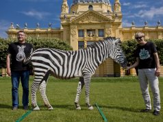 Stanovnici Zoološkog vrta grada Zagreba gostuju na Tomislavcu