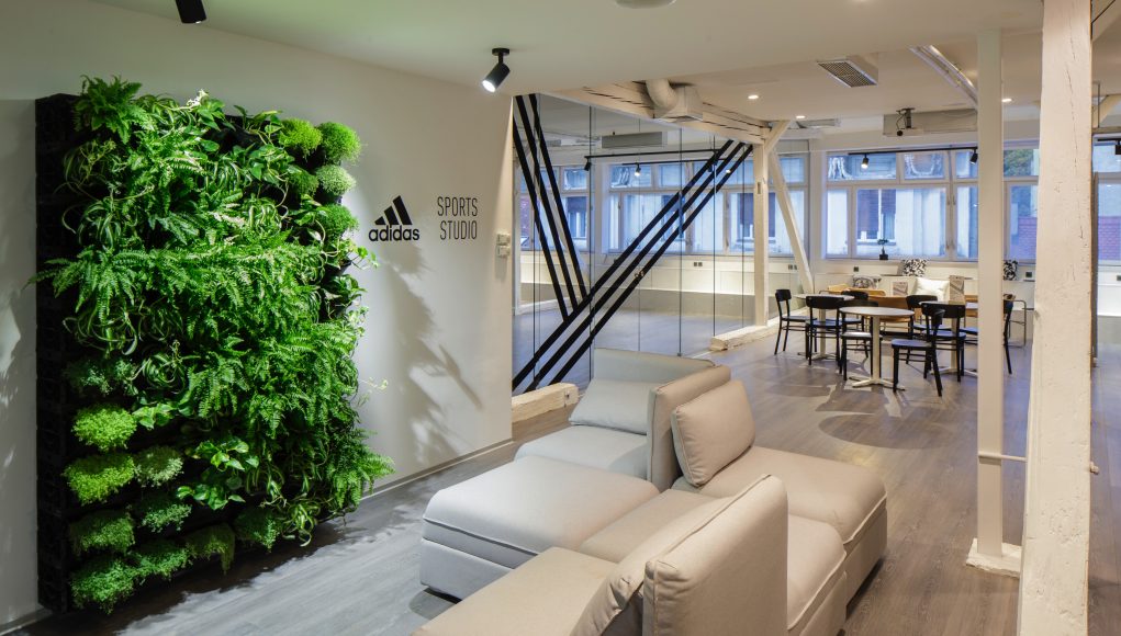 adidas Sports Studio ulazpg