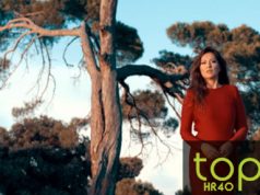 HR Top 40: Nina sedmi tjedan na prvome mjestu, a novi hitovi penju se sve više