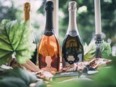 Kako u svega petnaestak minuta rashladiti vino?