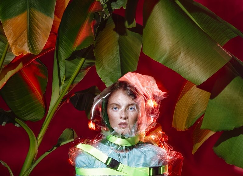 ZFD FW2019 2