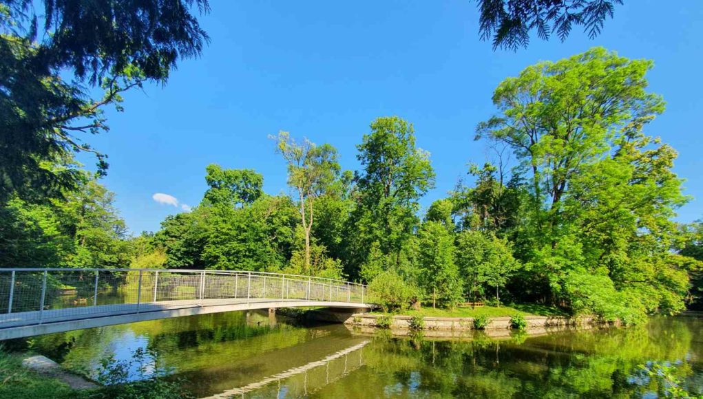 Labuđi otok