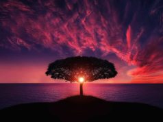 Tjedni horoskop / 25.05.2020. – 31.05.2020.