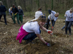 Zaposlenici HT Grupe primili kramp u ruke i krenuli u akciju pošumljavanja Parka Maksimir
