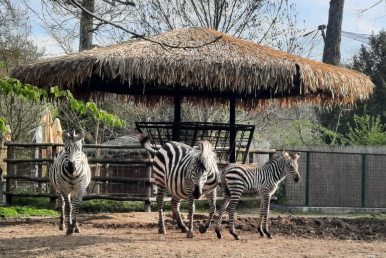 U subotu proslava 96. rođendana Zoološkog vrta grada Zagreba