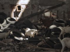 24 dokumentarca na jubilarnom izdanju Dana hrvatskog filma