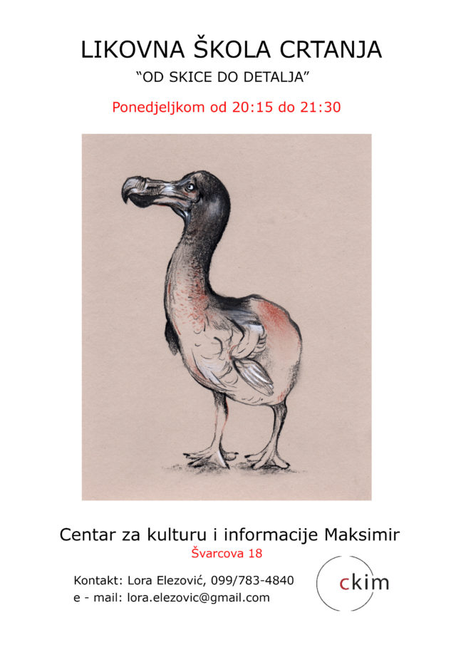 vizual Likovna škola crtanja