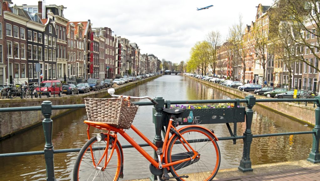 Amsterdam visual (002)