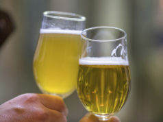 Craft pivska revolucija u Zlatnoj Slavoniji