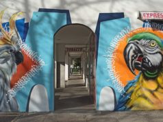Street art umjetnik i kaligraf Miro Modul podario je novi mural kvartu Voltino!