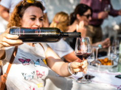Svi putevi vode u Drniš – na Festival drniškog merlota