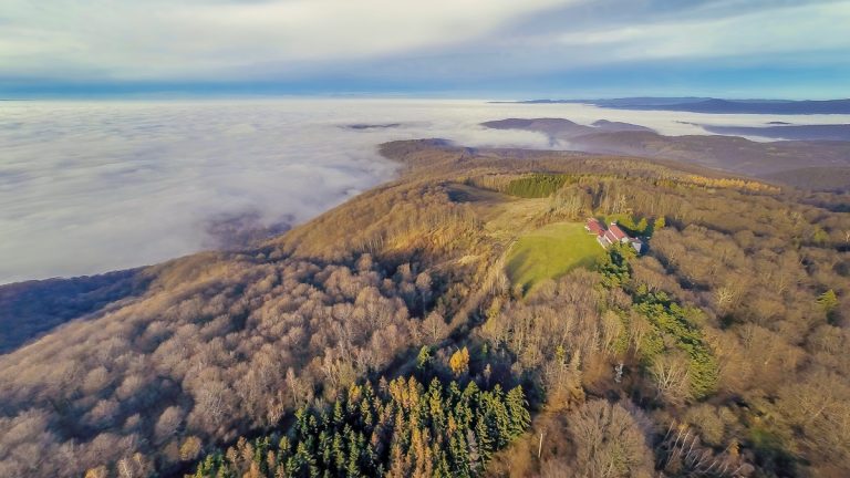 Sedam zelenih aduta Zlatne Slavonije za bijeg s gradskog asfalta