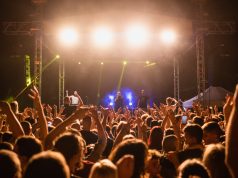 Sredina lipnja u Samoboru je u znaku Pine Festa!