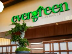 Novouređeni interijer Evergreen – sushi experience restorana spoj je japanske tradicije i suvremenog dizajna