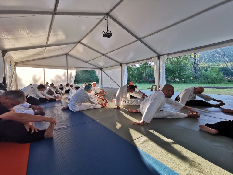 Aikido treningom do smirenije svakodnevice