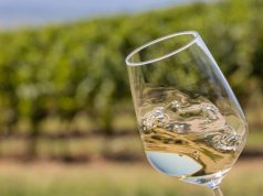 Svijet graševine: ekskluzivna degustacija otkrila snagu najtraženije sorte u Hrvatskoj