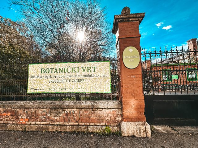 image00200 Botanički vrt Biološkog odsjeka PMF-a u Zagrebu
