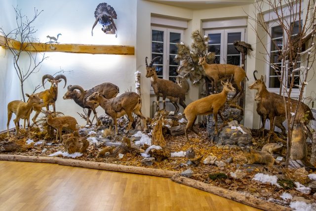 Lovacki muzej u zimskom ruhu_2
