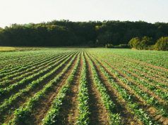 bio&bio obilježava EU Organic Day: Održiva budućnost na vašem tanjuru