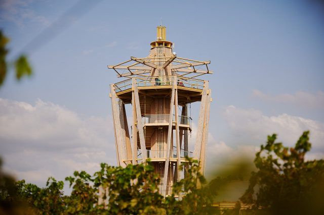 Mađerkin breg (foto Ante Gudelj)